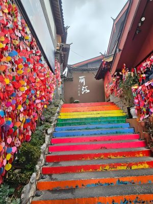 14f5840d-5df3-46da-a6e3-a903dbf62a8e