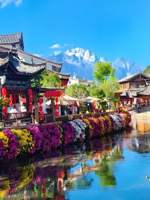 9c1c88e5-85cd-4315-9705-05d8d7344c81