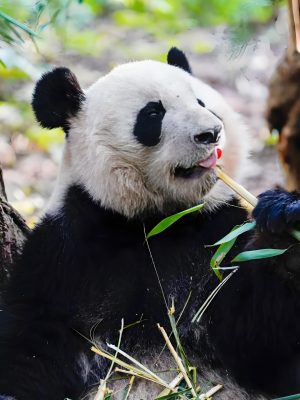 c608b6ef-b5ee-404f-9187-011dced7f907