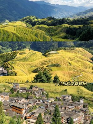 桂林阳朔｜四天三晚｜保姆级旅游攻略🔥_9_美少女壮士💪_来自小红书网页版