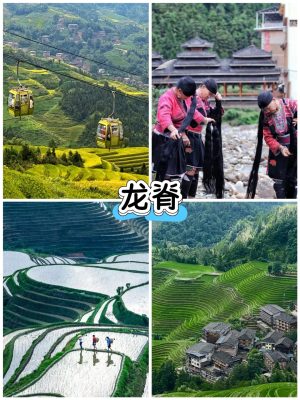 比自由行还爽的桂林玩法，不会等于白来_6_长城定制旅行_来自小红书网页版